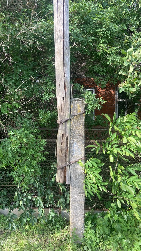 IMG 20250627 WA0207